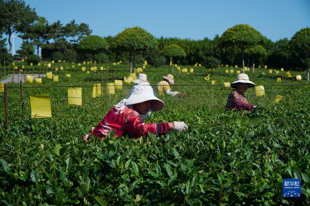 菲律宾申博游戏